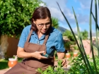 Leer materia: Sobre plantar ervas e especiarias na sua casa