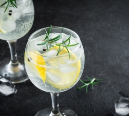 Refrescância em Elegância O Clássico Gin Tônica em Todo Seu Esplendor