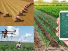 Leggi l'articolo: Tecnologia na Agricultura Moderna: Produzindo Mais Alimentos com Eficiência