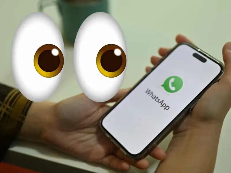 Ler conversas de Whatsapp de qualquer pessoa